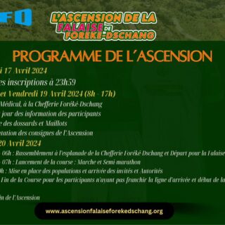 WhatsApp Image 2026-02-10 at 14.29.04 (1)