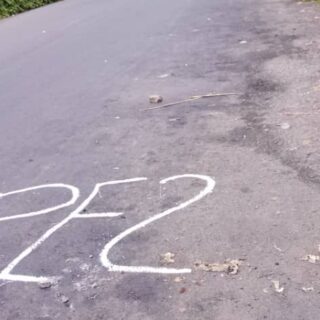 WhatsApp Image 2026-02-10 at 14.29.09