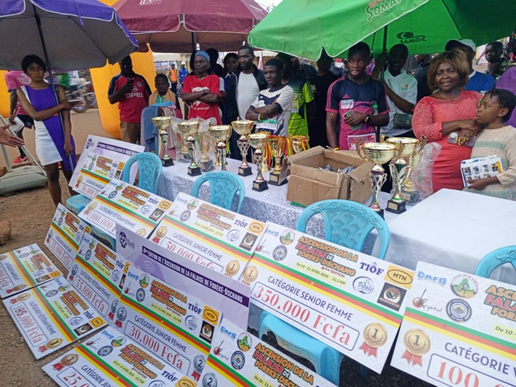 WhatsApp Image 2026-04-14 at 22.07.02